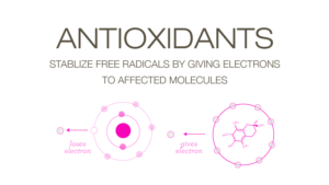 Antioxidant-Free-Radicals (1)